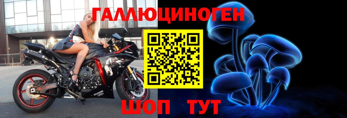 что такое   Галлюциногенные грибы GOLDEN TEACHER  Вход с VPN  Камышлов  Галлюциногенные грибы мухоморы 